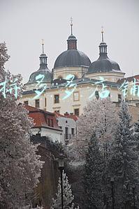 拼多多店铺