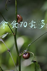 女装拿货70卖多少合适