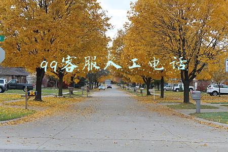 qq客服人工电话