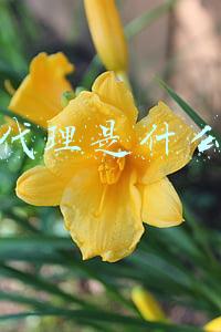 微商总代理是什么意思(万万没想到 微商代理套路这么深！)