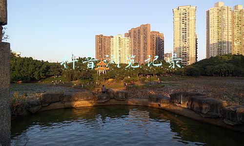 抖音浏览记录