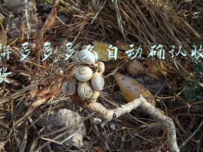 拼多多多久自动确认收货