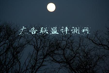 广告联盟评测网