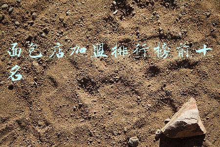 面包店加盟排行榜前十名