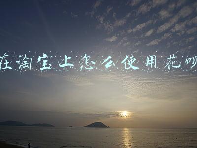 花呗怎么在淘宝花(蚂蚁花呗套现方法及技巧揭秘，让你随心花，放心购)