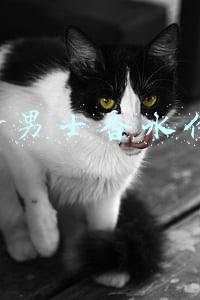 dior男士香水价格