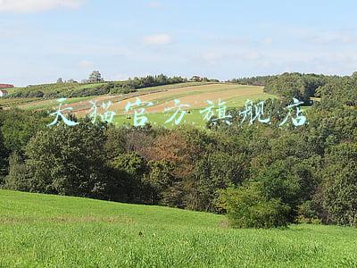 天猫官方旗舰店