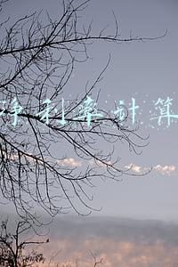 营业净利率计算公式