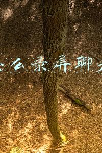 微信怎么录屏聊天记录