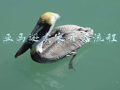 亚马逊卖家开店流程