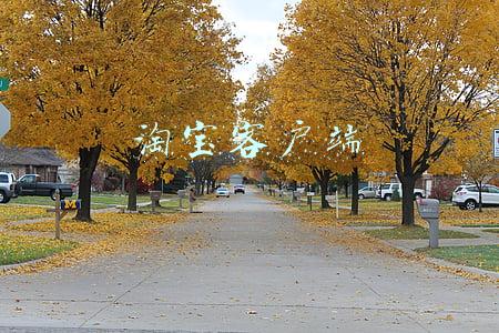 淘宝客户端