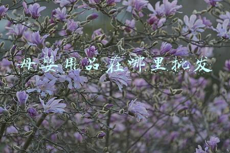 母婴用品在哪里批发