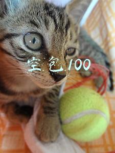 空包100网(9点1氪丨国家邮政局：集中治理快递恶性低价竞争和空包刷单；2022年春招互联网人平均薪资18500元；我国网民规模达10.32亿)