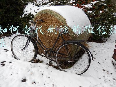 如何查找删除的微信记录