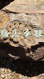 快手直播怎么挂小黄车