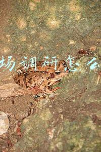 市场调研怎么做