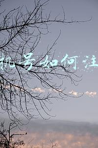手机号如何注销