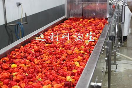 返利网淘宝