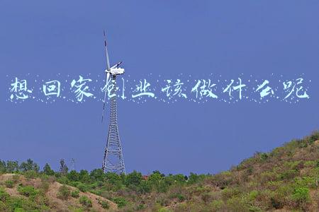 想回家创业该做什么呢