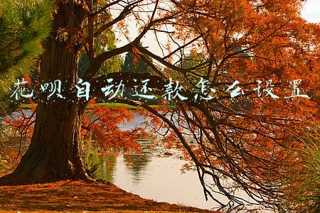 花呗自动还款怎么设置
