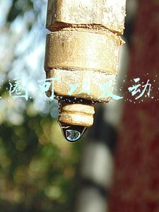 朋友圈可以发动图吗