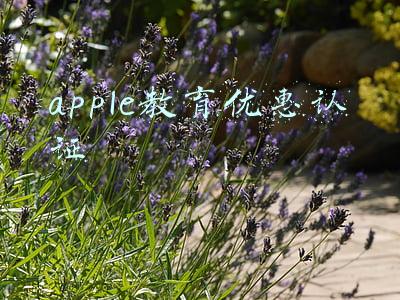 apple教育优惠认证过程(苹果收紧教育优惠：需先通过第三方认证)