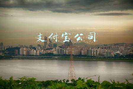 支付宝公司