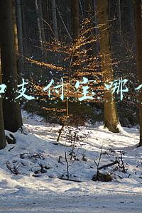 微信和支付宝哪个安全些(如果你有100万，存银行里安全，还是存在微信、支付宝里更安全)