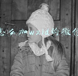 怎么加wxid的微信