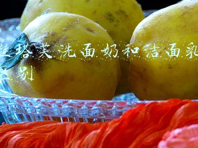 丝塔芙洗面奶和洁面乳区别