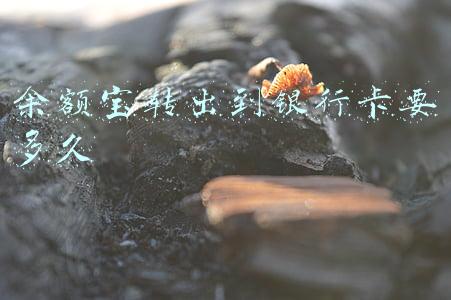 余额宝转出到银行卡要多久