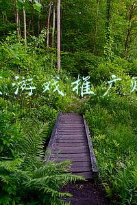 游戏网络推广(丸子：游戏行业如何操作运营以及推广？)