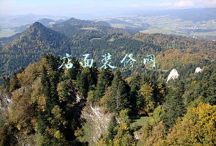 店面装修网