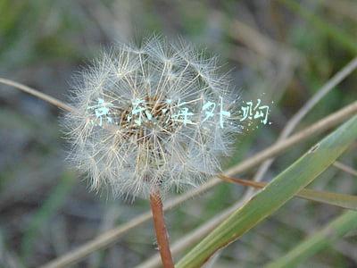京东海外购