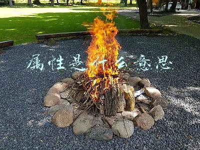 属性是什么意思
