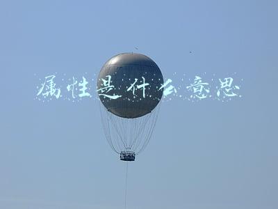 属性是什么意思网络用语(汉语称谓语与中国传统文化研究)