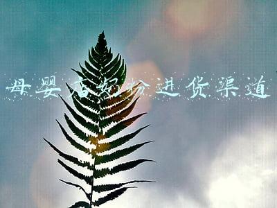 母婴店奶粉进货渠道