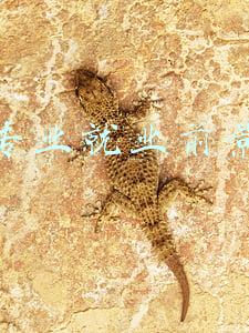 女生专业就业前景排名