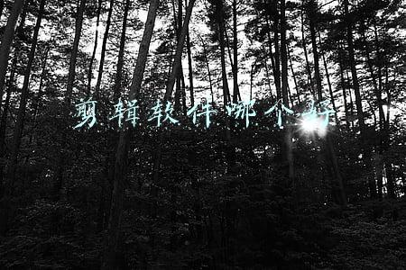 剪辑软件哪个好