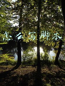 怎么写脚本
