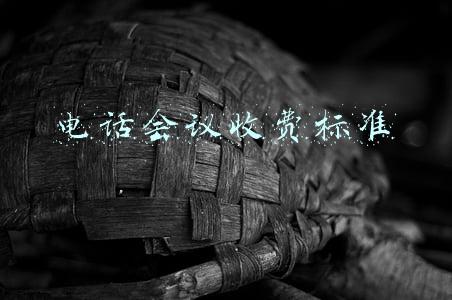 电话会议收费标准