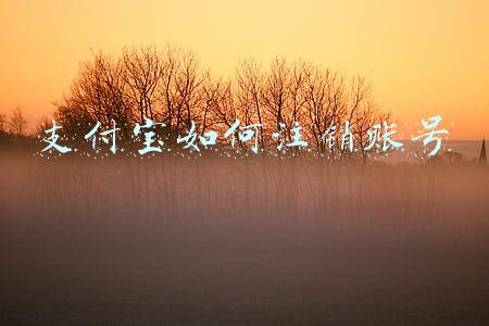 支付宝如何注销账号