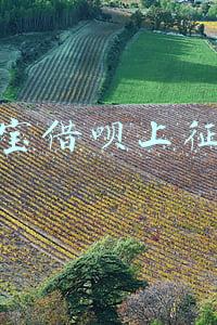 支付宝借呗上征信吗