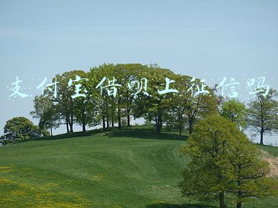 支付宝借呗上征信吗