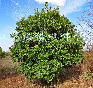 微粒贷好还是借呗好(支付宝花呗借呗跟腾讯微粒贷哪个好？原来差距在这里)