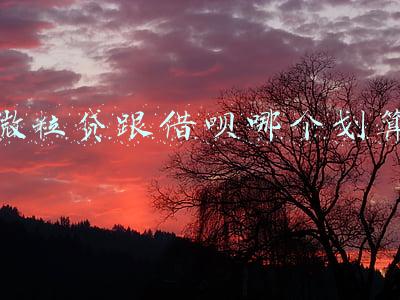 微粒贷跟借呗哪个划算
