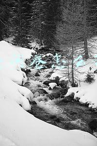 调查问卷怎么制作