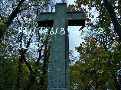 双11和618哪个力度大