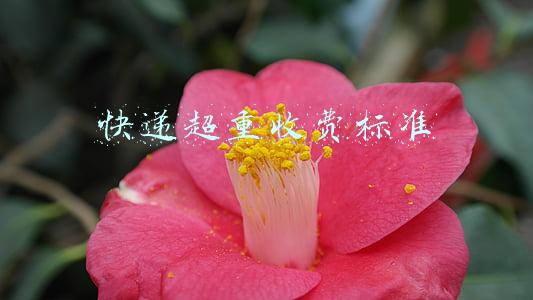 快递超重收费标准