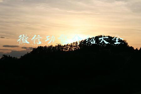 微信功能介绍大全